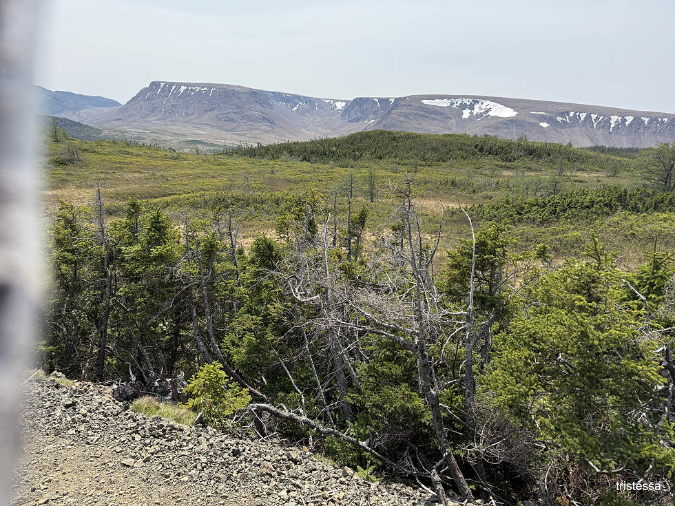 Tablelands