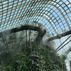 Singapur: Cloud Forest & Flower Dome - Singapore Flyer