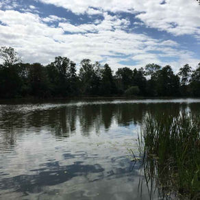 Mecklenburger Parkland