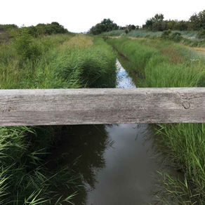 Rund um den Lenorenwald (Nordwestmecklenburg)
