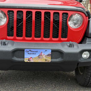 Alles nur ein großer Marketinggag?