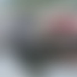 Stanley Park – Coal Harbor – Flug nach Berlin