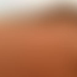 Haschemiten, Beduinen & Mezze