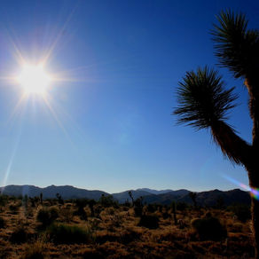 Palm Desert- Desert Premium Outlet