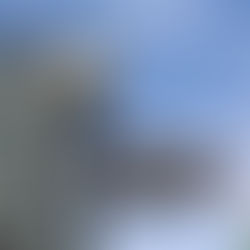 Vancouver City Centre – Momo Sushi