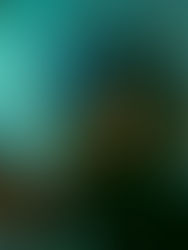 Samuel Petra: A Fresh New Indie Sound