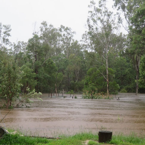 10:00 Garden almost gone waters continue to rise