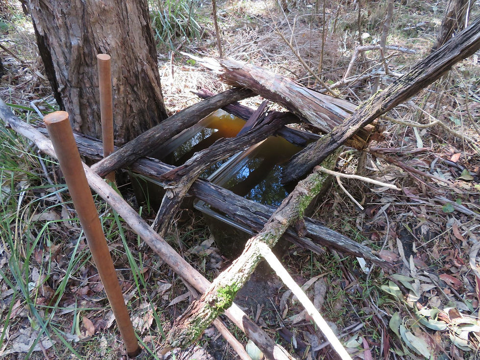 Use old fridge crispers as water refuge for the birds