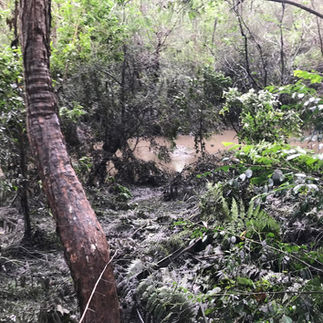 The creek is still high the mud is everywhere
