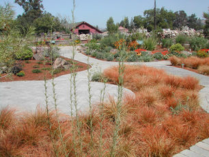 The Best Sonoma County Landscapers