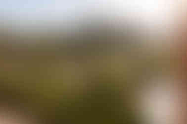 Lvovich-Boshernistan-5