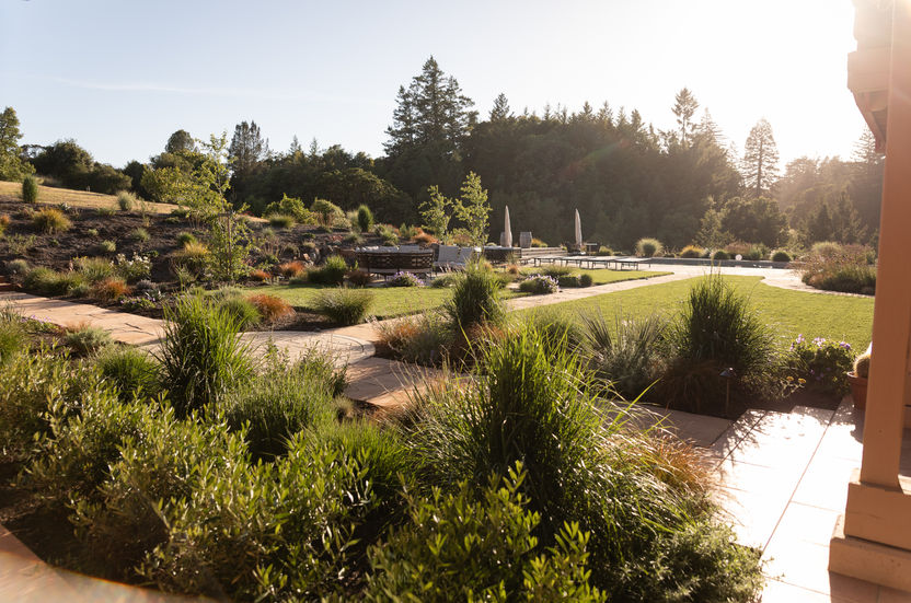 Lvovich-Boshernistan-5