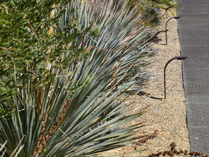 Transform Your Property With Lawn Conversion