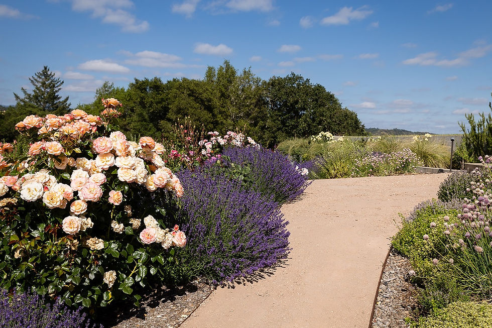 Check out these landscape tips for spring to have a landscape with gorgeous blooms.