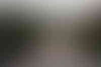 Lvovich-Boshernistan-34