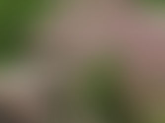 Gardenworks Owner Presents Drought Workshop on Water-Efficient Landscaping