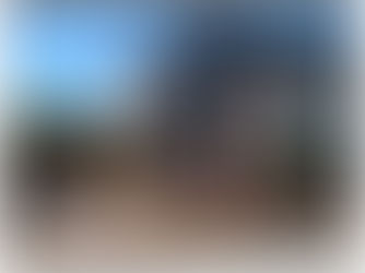 How Do I Make My Front Yard Look Nice?