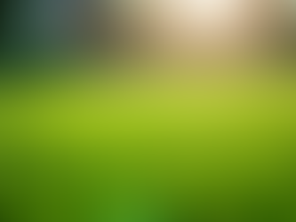Unlock Success with a Lawn Care Marketing Agency