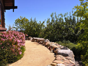 Choose the Right Plant for the Right Place in Your Landscape