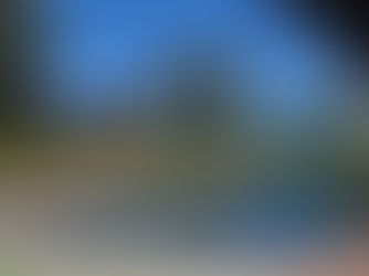 Looking to Add Different Shrubs to Your Landscape? Landscape Designers Know It All!