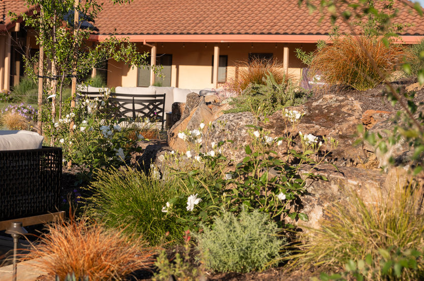 Lvovich-Boshernistan-18