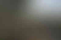 Lvovich-Boshernistan-36