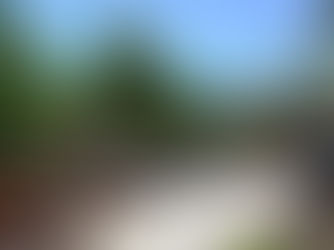 Horticulture Do’s (not Do-Overs)