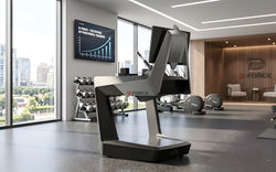 Rocky 1 - Professional arm-wrestling simulator designed by Ron Ferencz.
