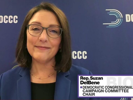 With The New Dem-Run DCCC Calling The Shots It's Miraculous That There Are ANY Democrats In Congress