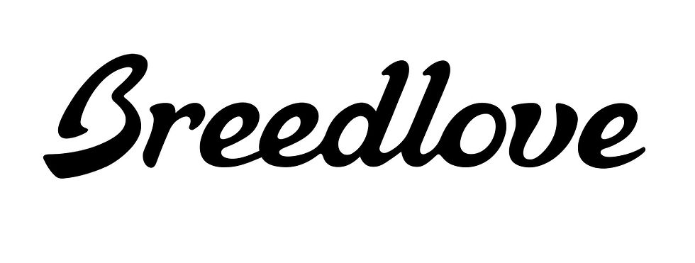 Breedlove Guitars Logo
