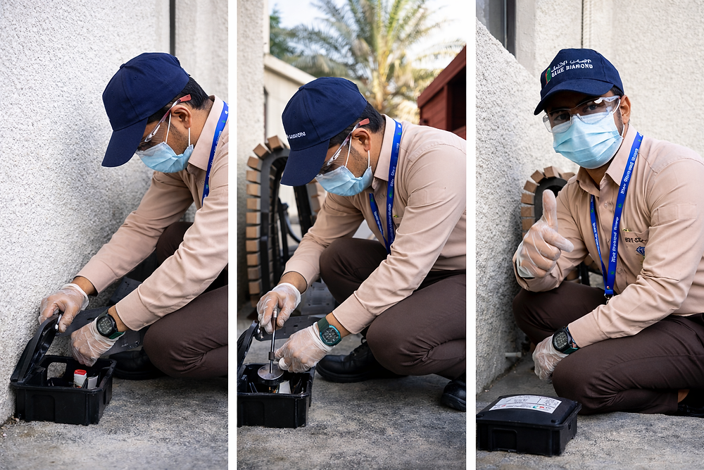 Rodent Control in Abu Dhabi: Protecting Homes & Businesses from Hantavirus Risks