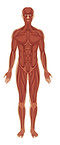 kinesiology kalgoorlie