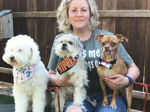 A woman with short, wavy blonde hair sits outdoors on a red metal chair, holding three small dogs. She is wearing a gray T-shirt with partially visible text and ripped blue jeans. The dog on her left is a fluffy white poodle mix wearing a light-colored bandana with a name written on it. The dog in the center is a scruffy small breed with gray and white fur, wearing a green bandana with "NIPPER" in orange letters. The dog on her right is a small, tan-colored dog with a long tongue hanging out, wearing a black and white bandana. They are sitting in front of a wooden fence in a backyard setting.