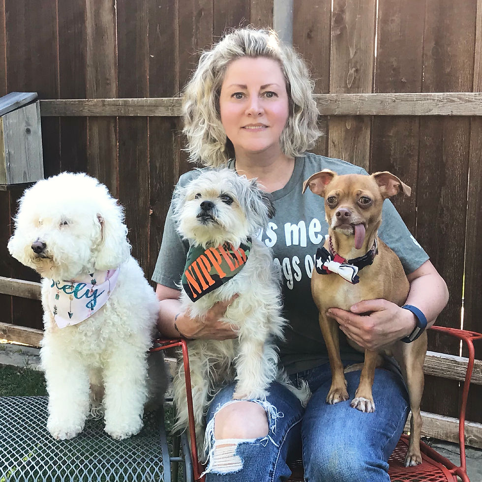 A woman with short, wavy blonde hair sits outdoors on a red metal chair, holding three small dogs. She is wearing a gray T-shirt with partially visible text and ripped blue jeans. The dog on her left is a fluffy white poodle mix wearing a light-colored bandana with a name written on it. The dog in the center is a scruffy small breed with gray and white fur, wearing a green bandana with "NIPPER" in orange letters. The dog on her right is a small, tan-colored dog with a long tongue hanging out, wearing a black and white bandana. They are sitting in front of a wooden fence in a backyard setting.