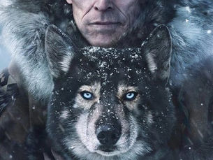 Poster for Disney+ Togo