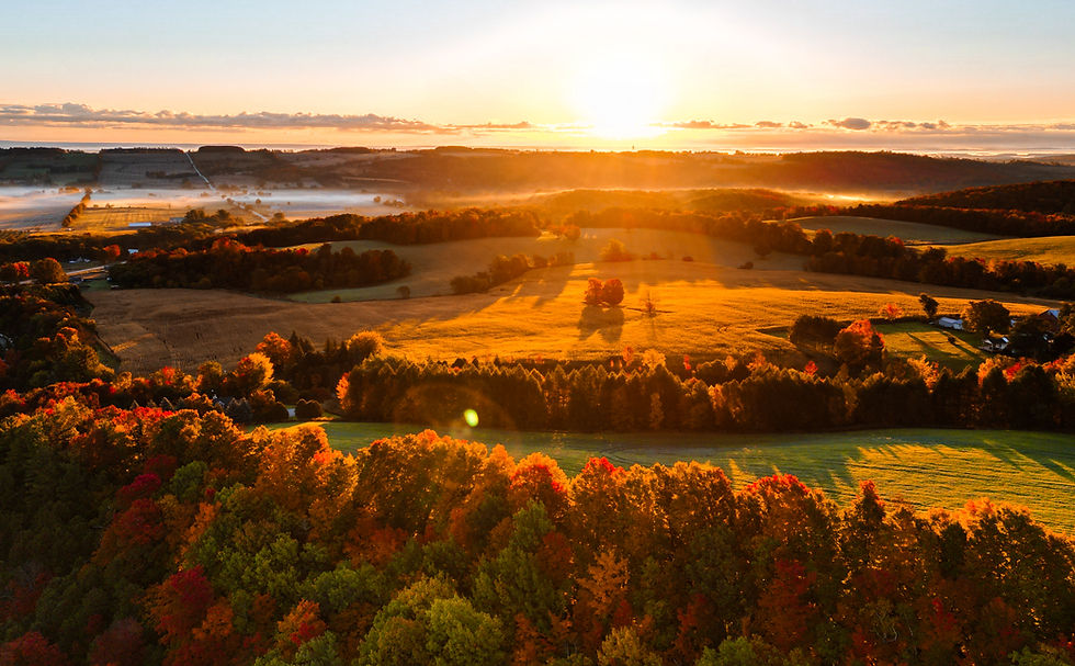 Drone Photo #5.JPG