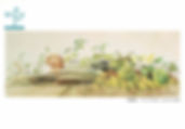 2006 「人気作家による水彩画展」(東急).jpg