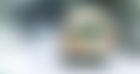 How do I winterize my van's plumbing system?