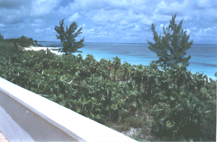BeachView1