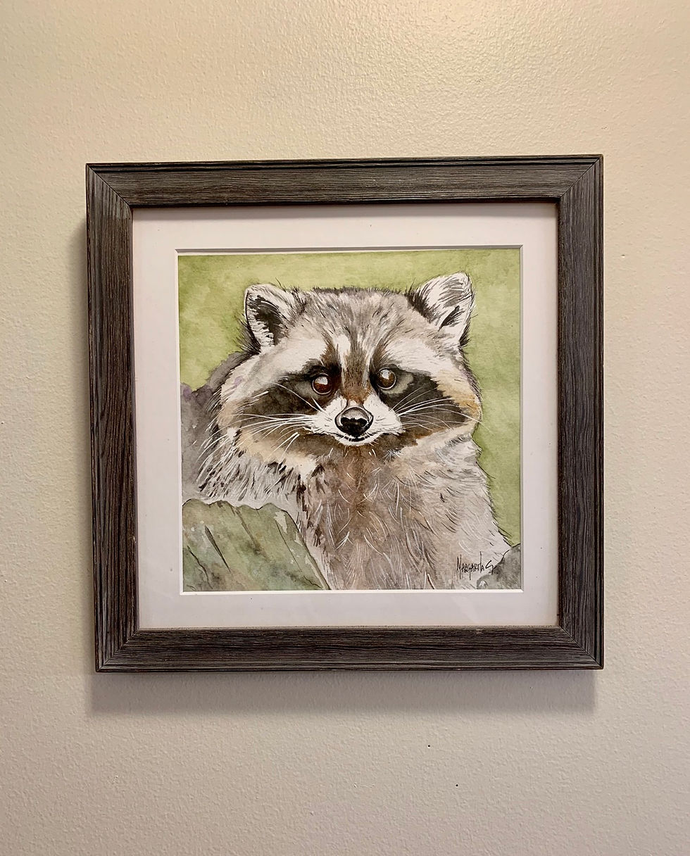 Thumbnail: Raccoon watercolor