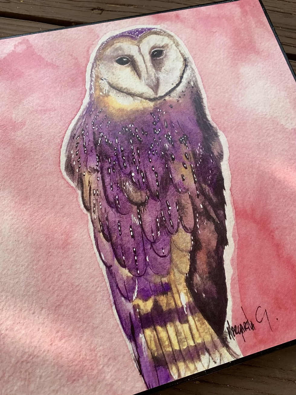 Thumbnail: Owls Art Paintings / Wood Frame 8x8” / fine art prints set of 2