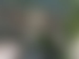 VILLEFRANCHE DE CONFLENT