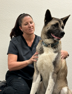Mile High K-9 Massage
Canine Massage
