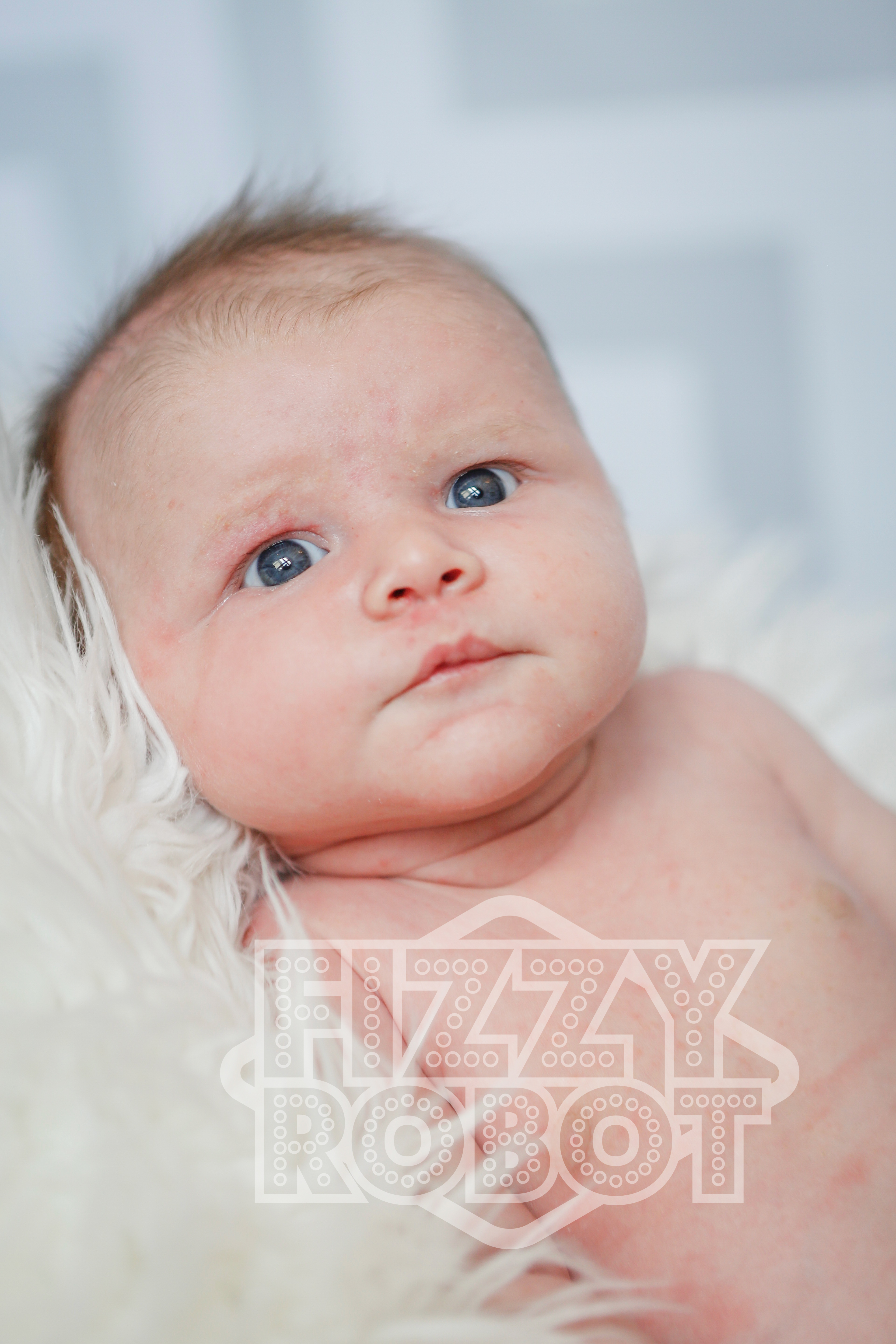 Lilly2