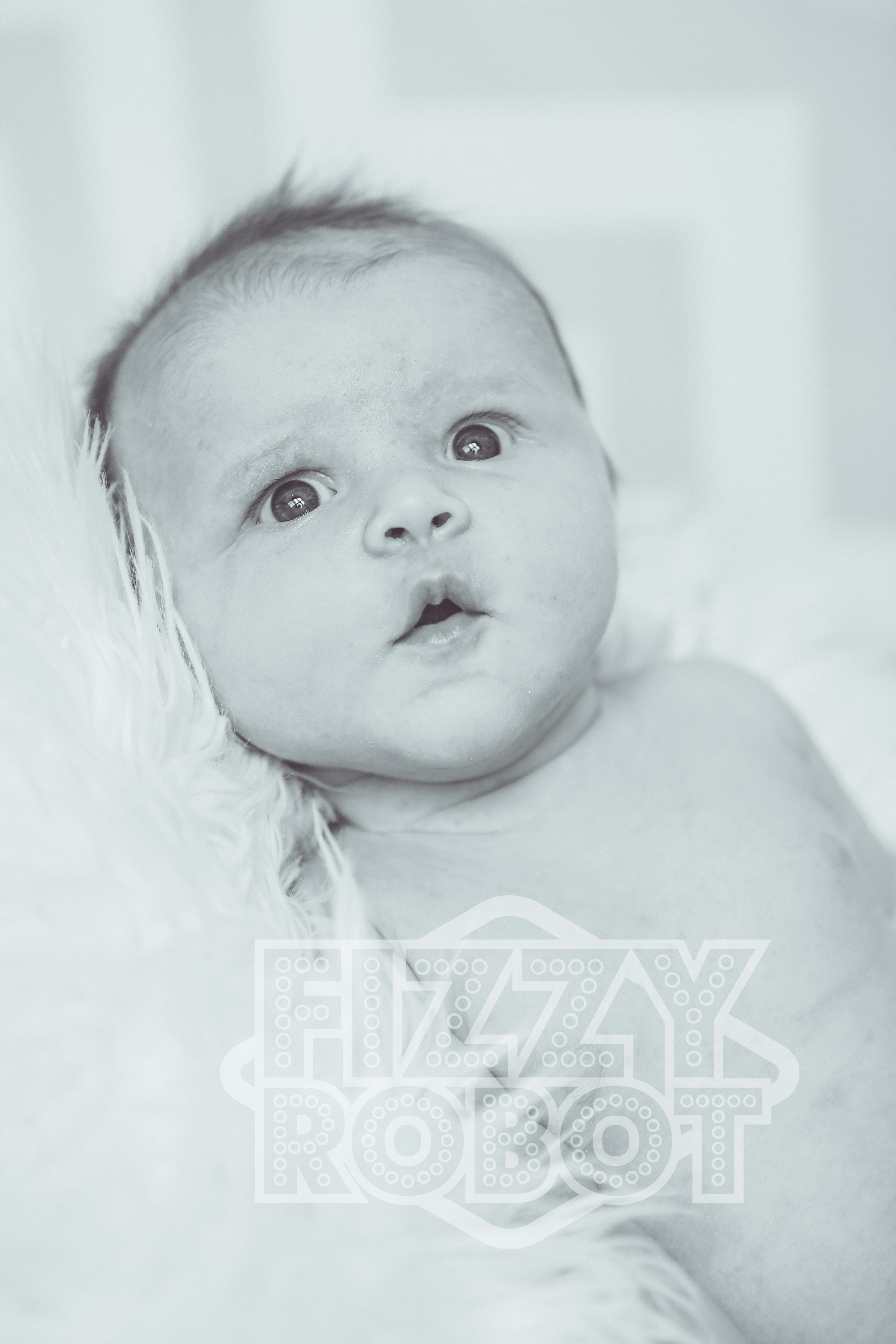 Lilly4