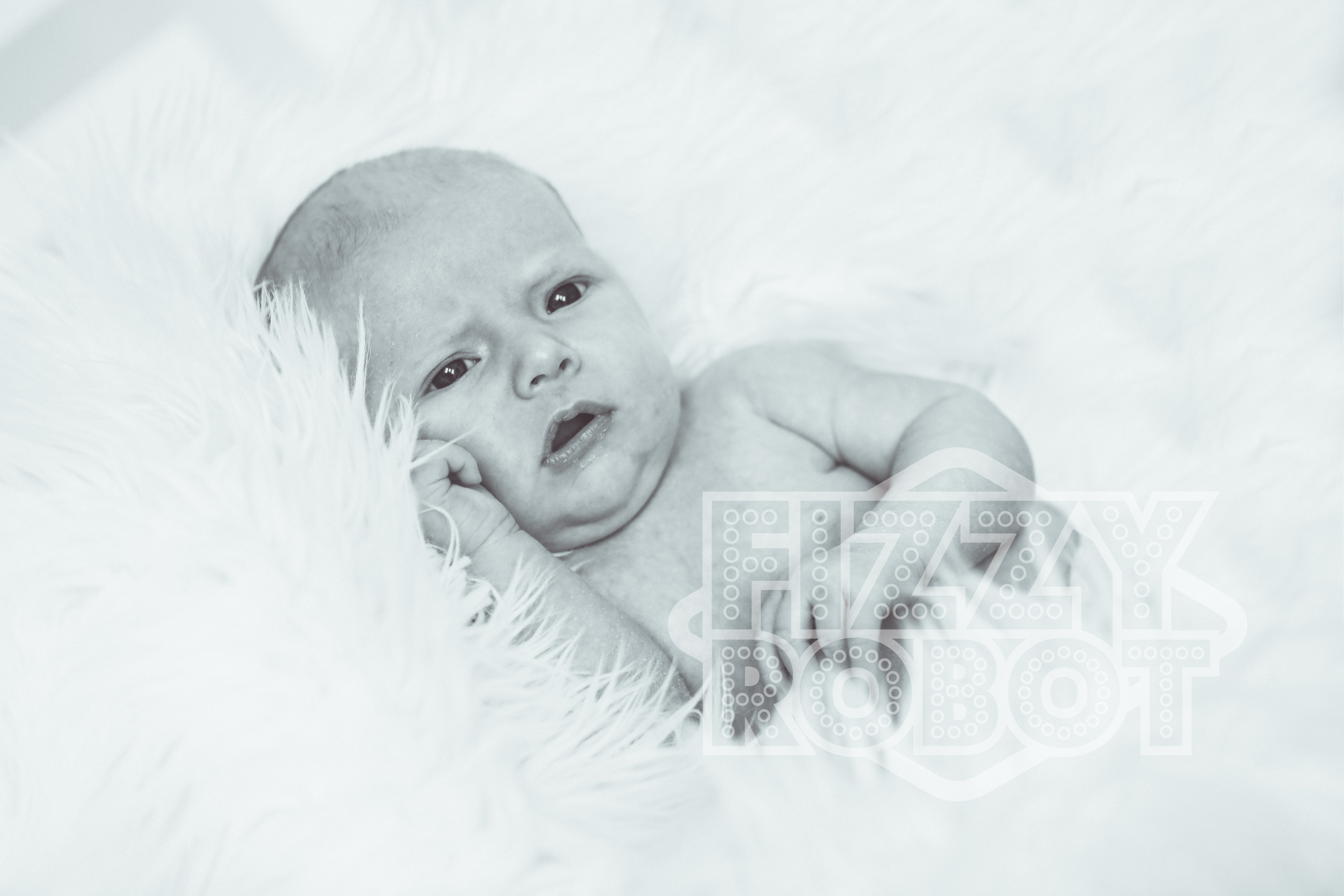 Willow7
