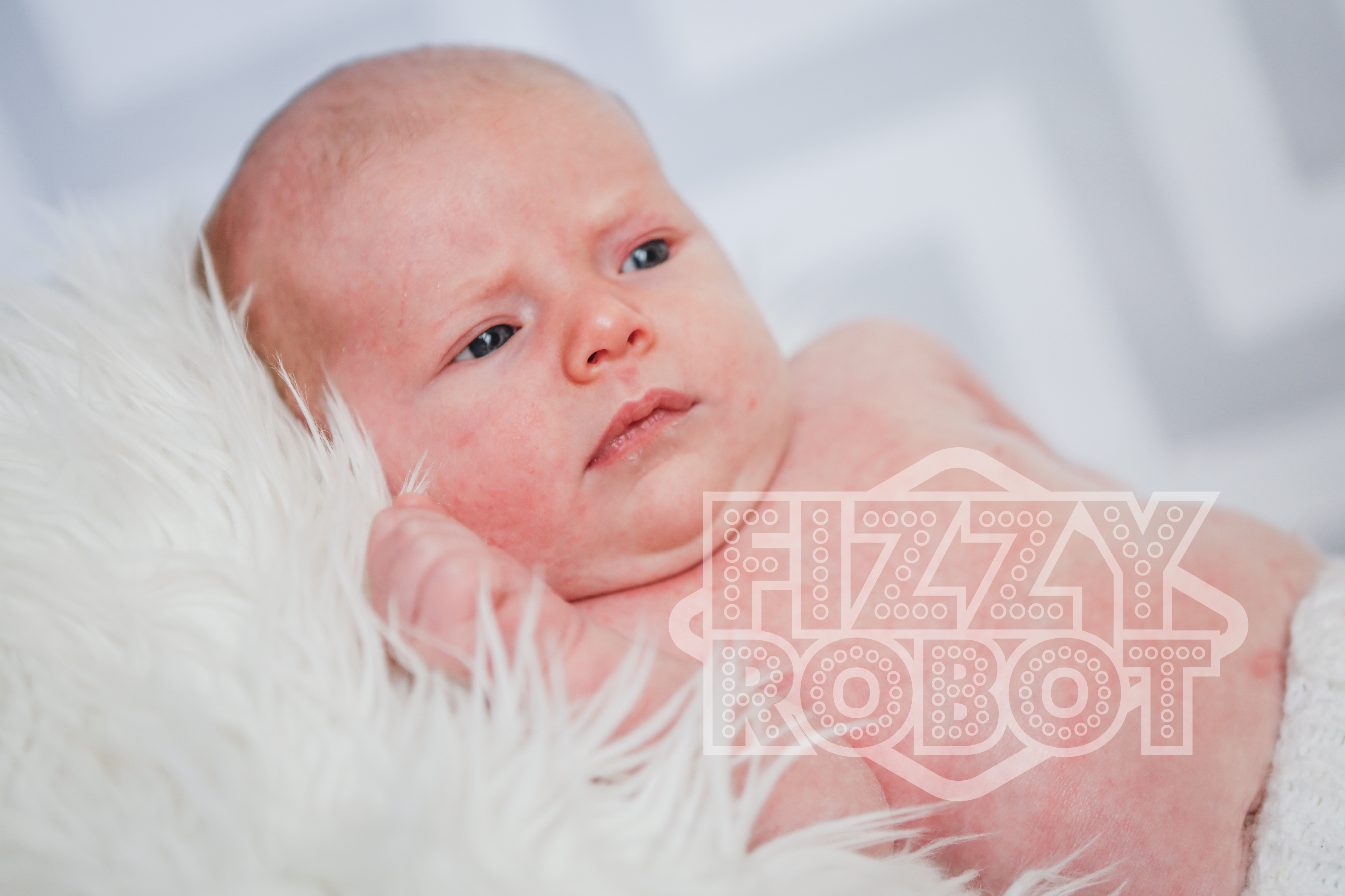 Willow2