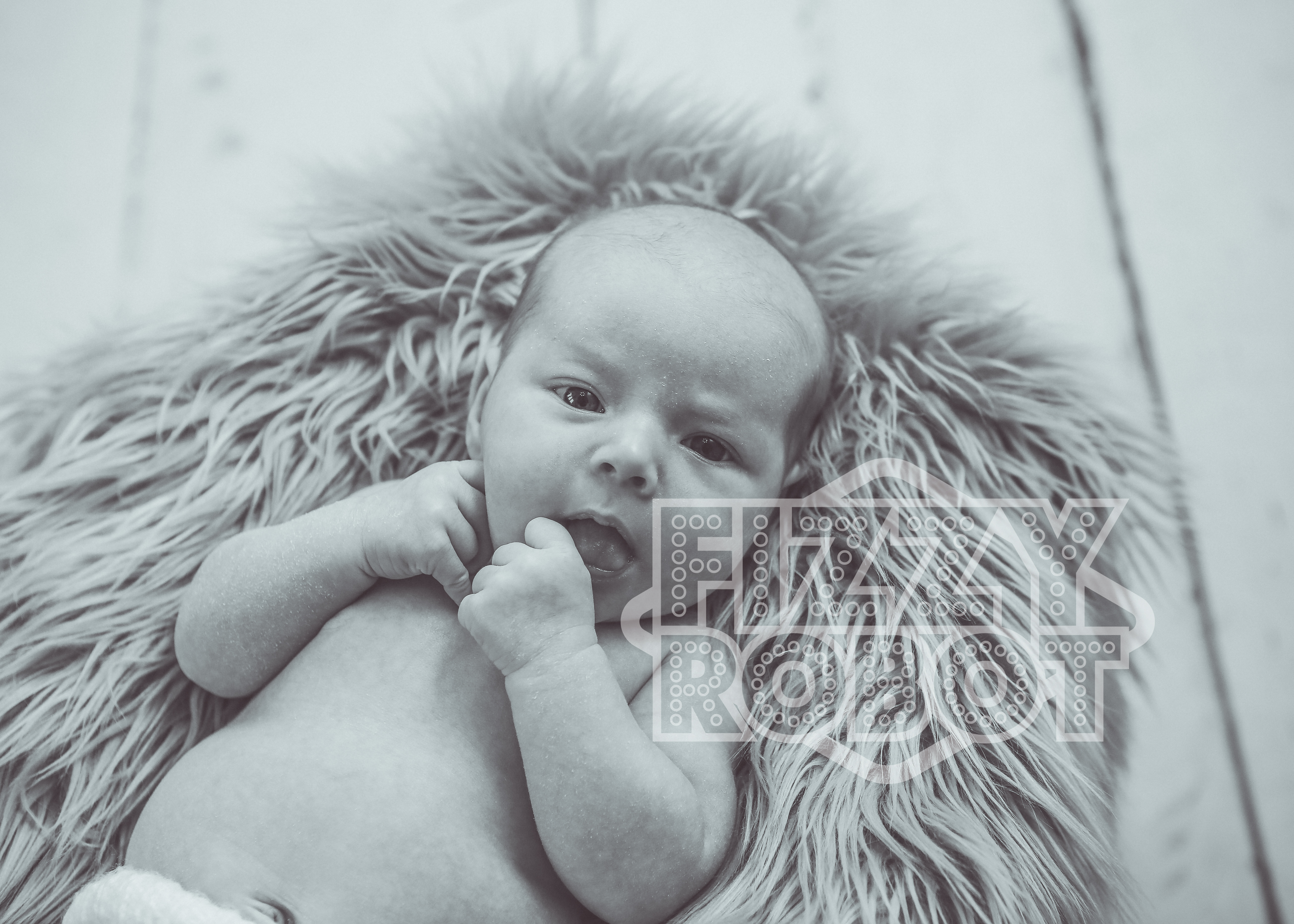 Willow56