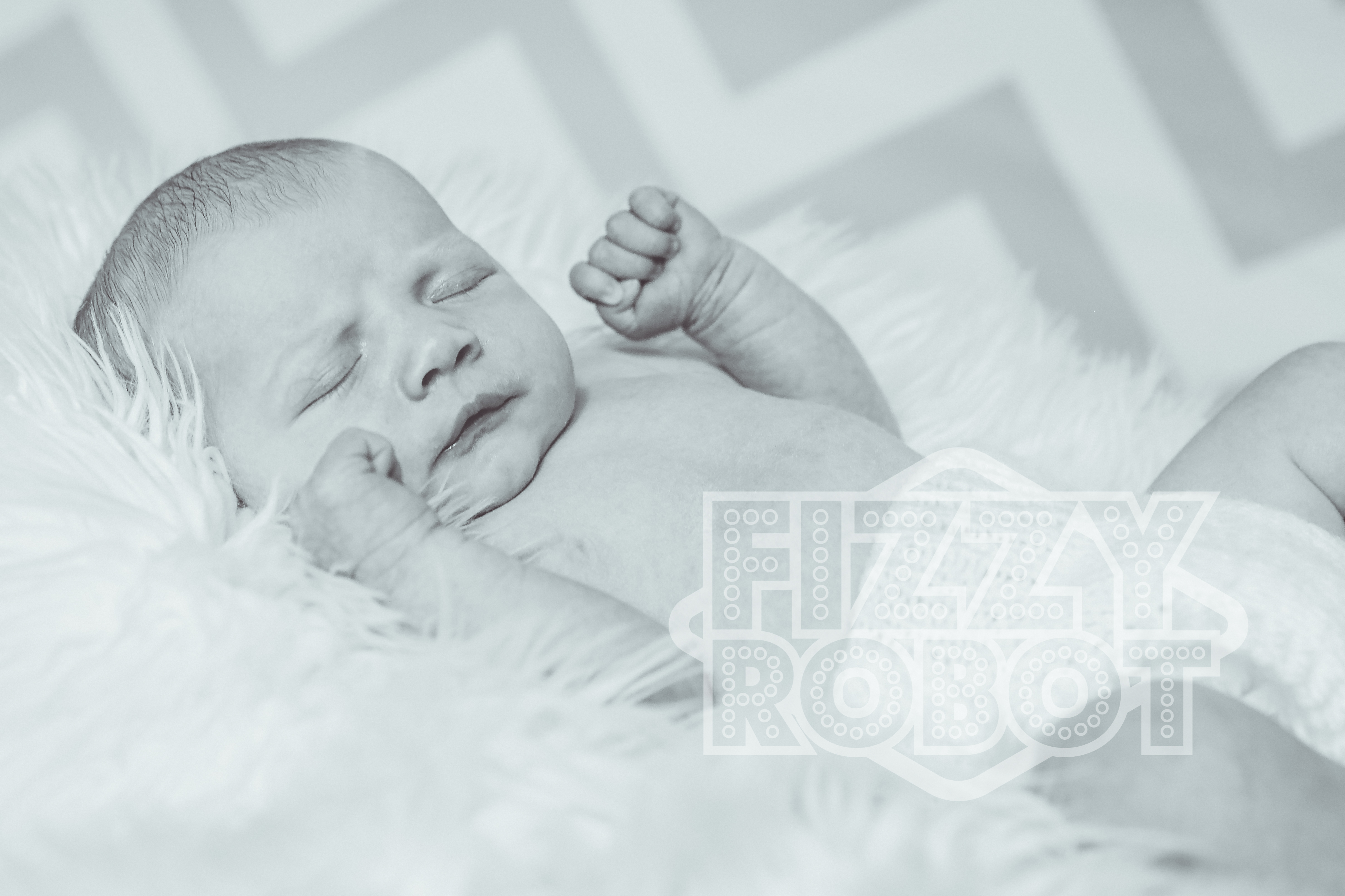 Rosie2