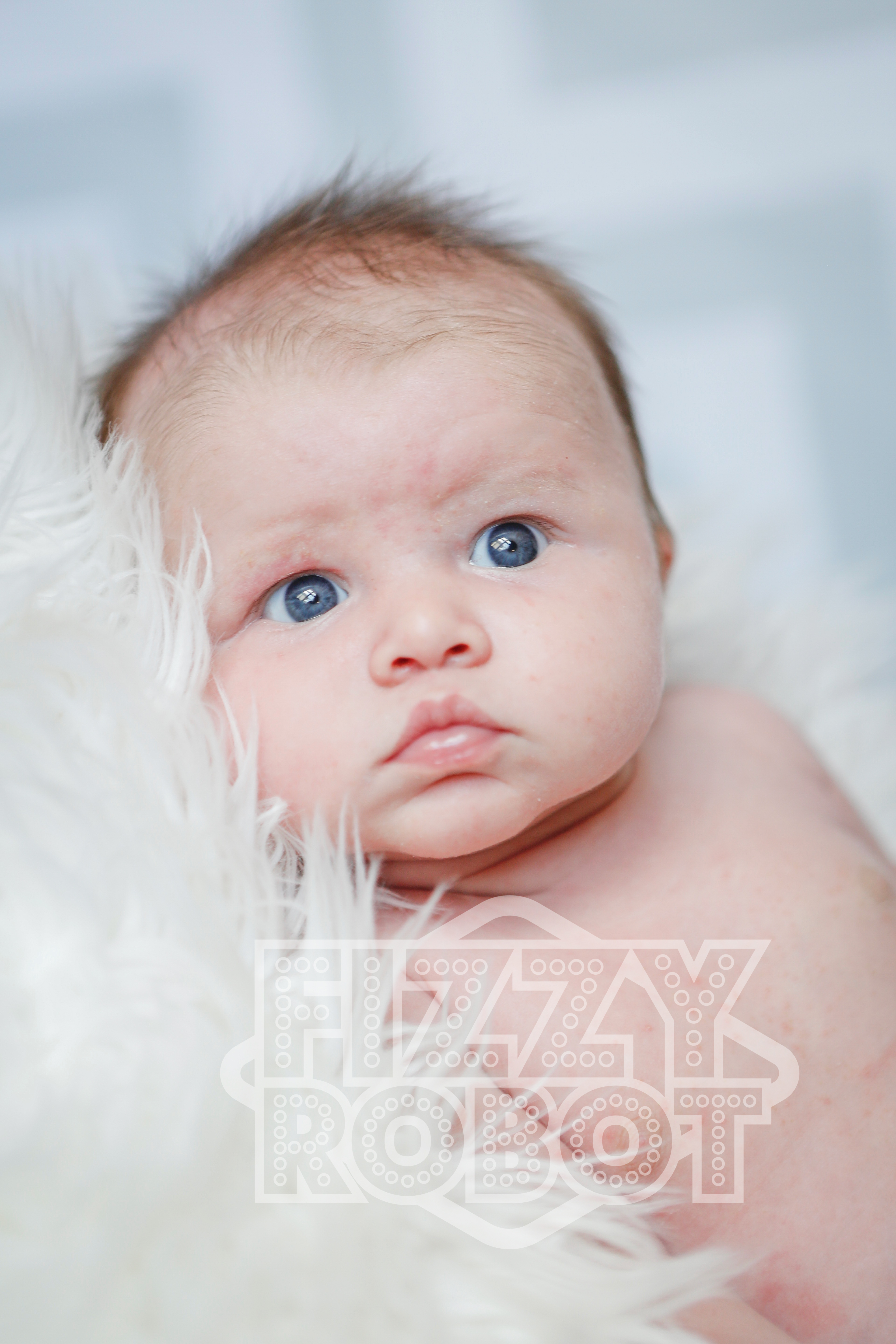 Lilly12